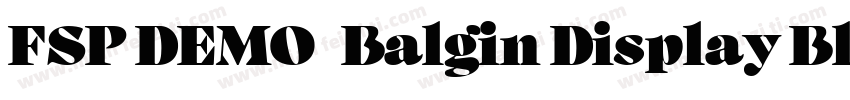 FSP DEMO   Balgin Display Black Bol字体转换